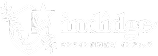 indidge オンライン個別指導 インディッジ